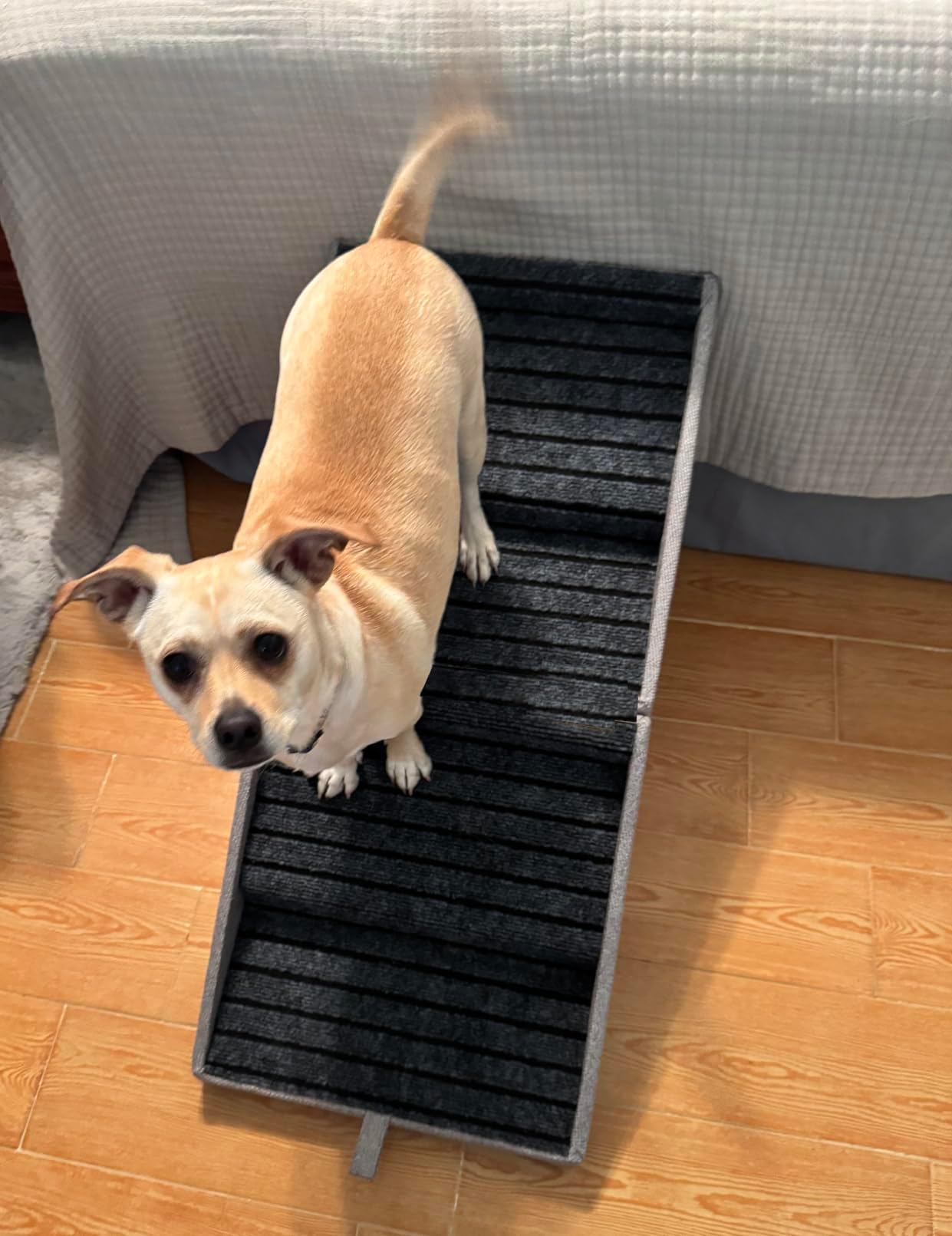 Dog Stairs for Small Dogs, 2-in-1 Pet Steps & Ottoman Pet Stairs for Couch